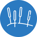Dry Needling Icon